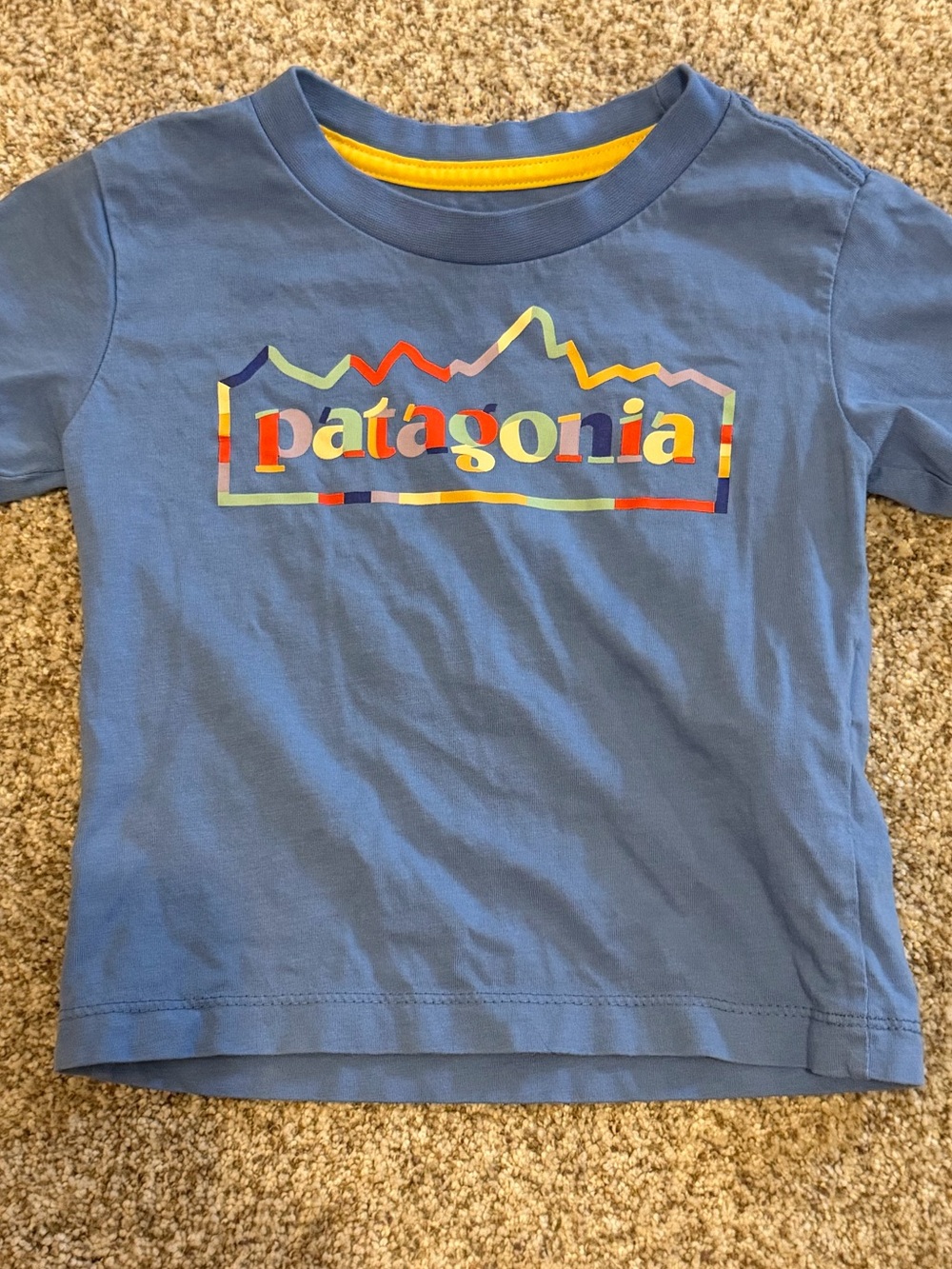 Patagonia 12-18m tshirt